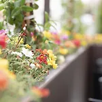 Casa Ercoli Alojamento de Acomodação e Pequeno-almoço