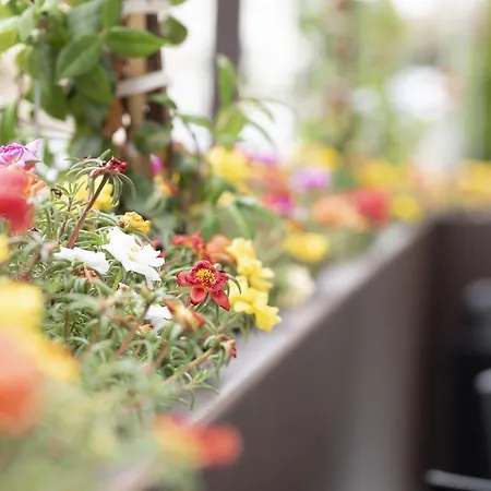 Casa Ercoli Bed and Breakfast