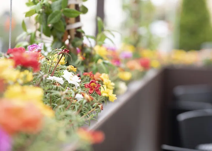 Casa Ercoli Alojamento de Acomodação e Pequeno-almoço